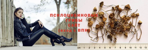 соль курить ск Гусев