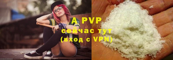амф Гусь-Хрустальный