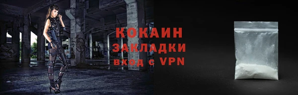 амф Гусь-Хрустальный