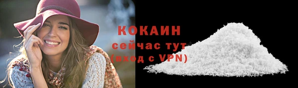 амф Гусь-Хрустальный