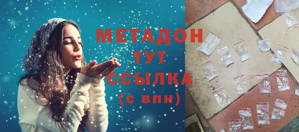 амф Гусь-Хрустальный
