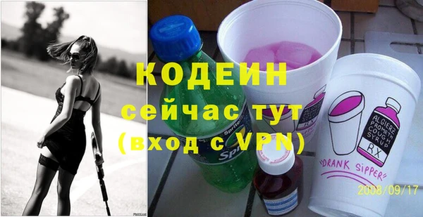 амф Гусь-Хрустальный