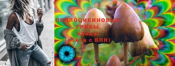 соль курить ск Гусев