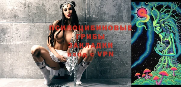 амф Гусь-Хрустальный