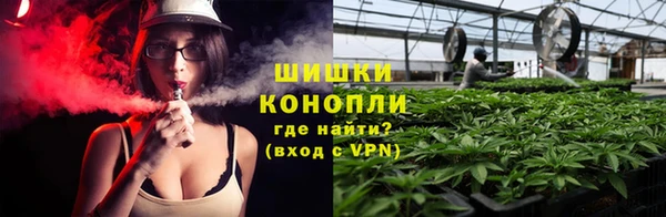 амф Гусь-Хрустальный