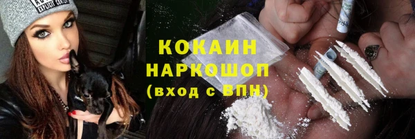 амф Гусь-Хрустальный